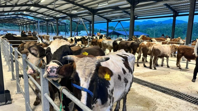 Bölgenin en büyük pazarı hizmete girdi