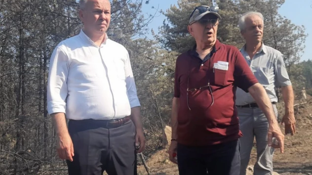 CHP Bartın heyeti yangın bölgesinde