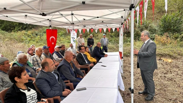 Fındık bahçesinde Tarla Günü