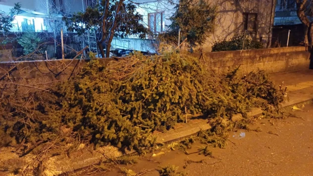 Fırtına ekibi iş başında
