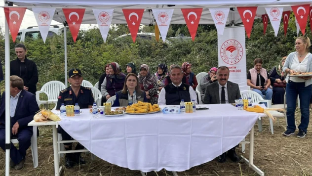 Gerişkatırcı'da mısır hasadı şöleni