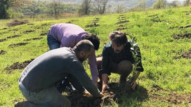 Akçamescit'e kapama defne bahçesi