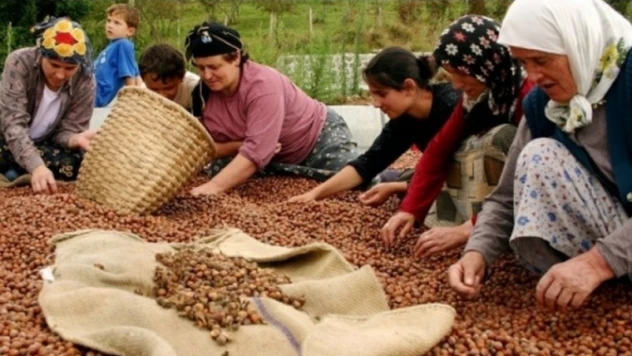 Tarıma toplam 23 milyon 721 bin 176 TL destek