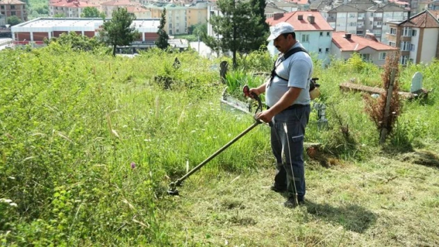 YABANİ OTLARDAN ARINDIRILIYOR