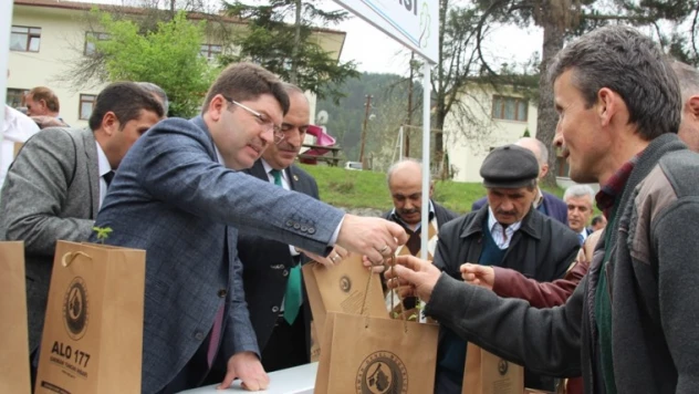 Tunç, Ulus'ta fidan dağıttı