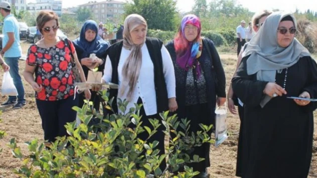 Kadın çiftçilere ödüllü girişimcilik eğitimi