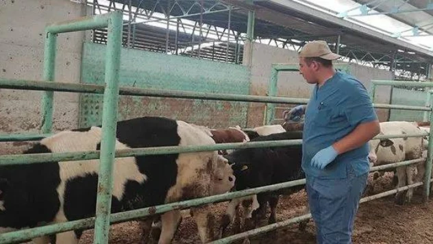 İl Müdürlüğü'nden Sonbahar Uyarısı