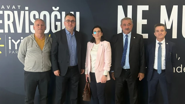 İYİ Parti'den Türkçülük Günü'nde Ankara çıkarması