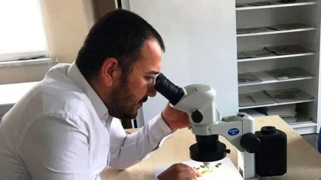 Küre Dağları'nda ilk kez keşfedildi