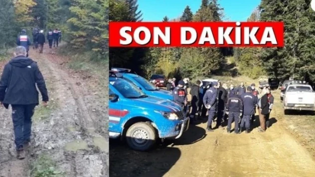 Mantar toplamaya gitti, kayboldu