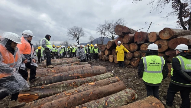 Orman Üretiminde 'Standart Dışı'na Geçit Yok
