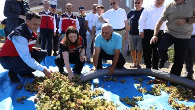 Protokol Fındık Topladı