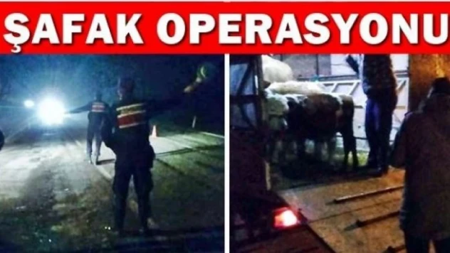 Şafak Operasyonu
