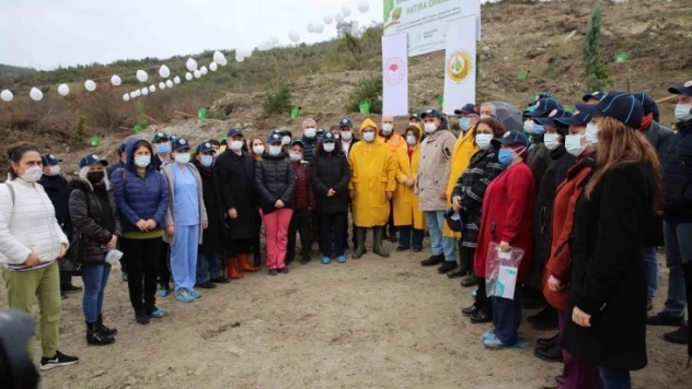 SAĞLIK ÇALIŞANLARI İÇİN HATIRA ORMANI