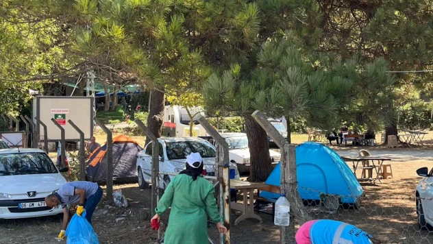 Sahiller ilaçlanıyor