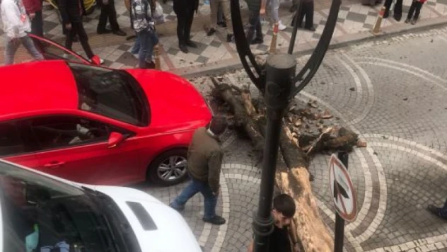 Sürücü neye uğradığını şaşırdı