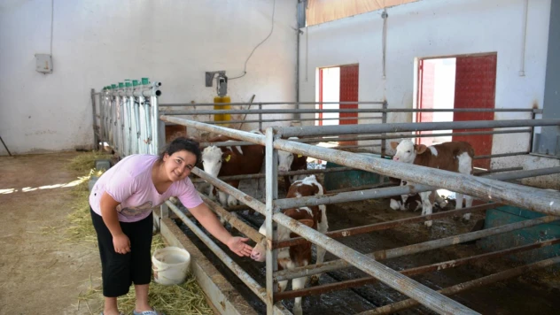 Tarımda genç girişimcilere yüzde 70 hibe fırsatı