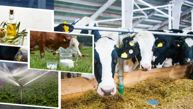 Tarımsal Destekler Yatırılıyor