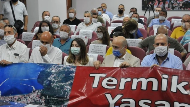 Termik santrale bir darbe de Danıştay'dan