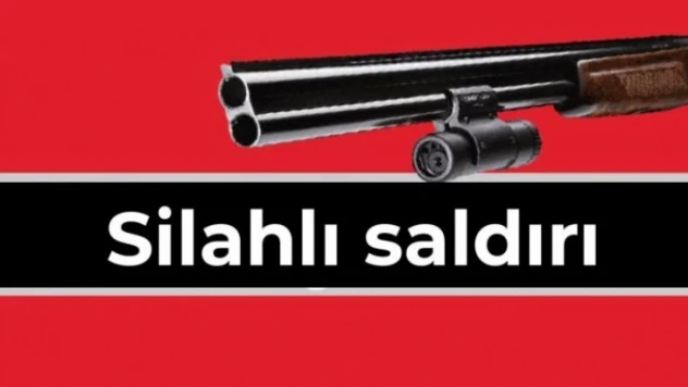 Tüfekle iki kişiyi vurdu