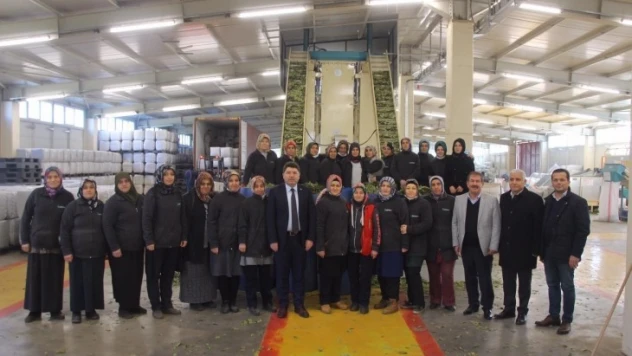 Tunç'tan Defne fabrikasına ziyaret