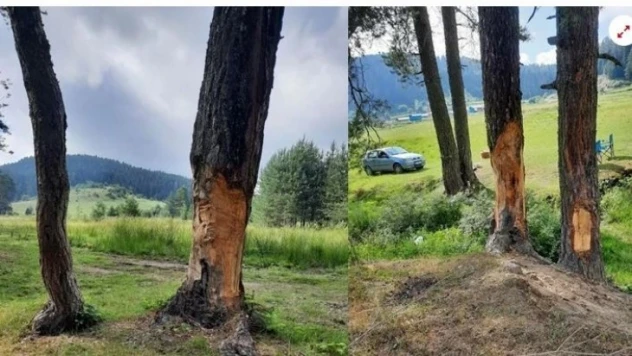 Uluyayla'da içinizi sızlatan görüntü