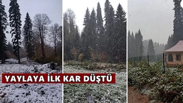 Yaylada kar yağışına yakalandılar