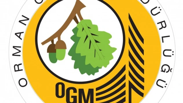 Zincirli testere satın alınacak