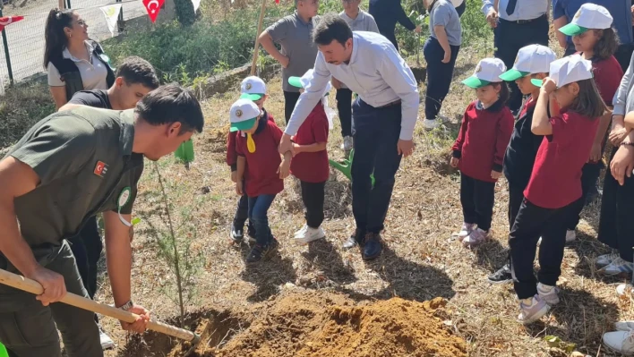 Amasra'da öğrenciler geleceğe fidan dikti