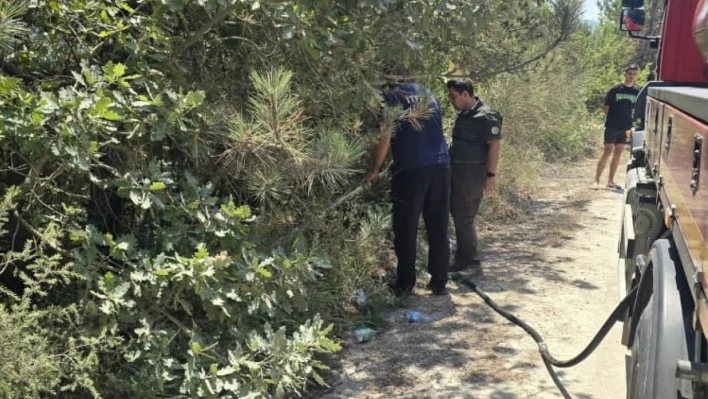Amasra'da orman yangını büyümeden söndürüldü