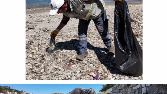 Amasra sezona hazırlanıyor