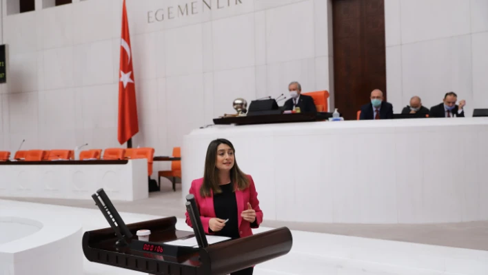 Bankoğlu'dan Dezenformasyon Yasası açıklaması