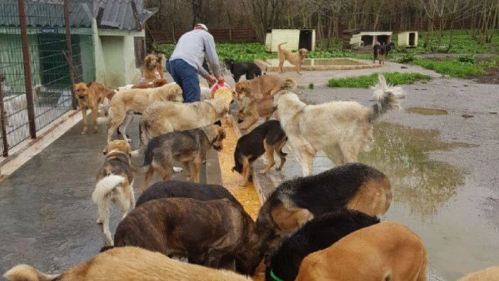 Bartın Belediyesi'nden çağrı