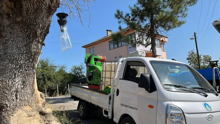 Bartın Belediyesi'nden Kahverengi Kokarca ile Mücadele