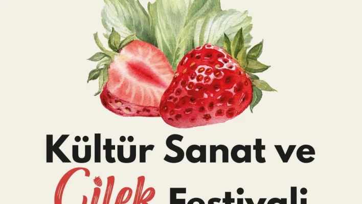 Bartın'da Çilek Festivali coşkusu başlıyor