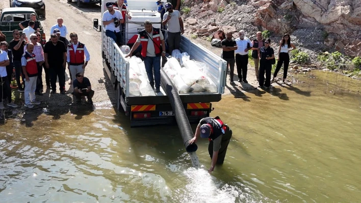 Bartın'da İç Sulara 707 Bin Sazan Yavrusu Bırakıldı