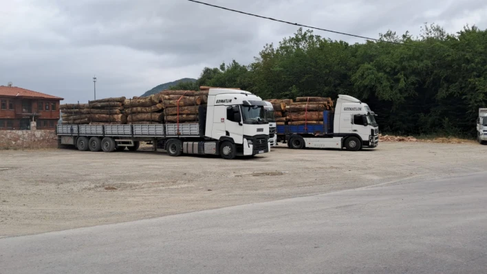 Bartın ormanlarında kaçakçılığa geçit verilmiyor