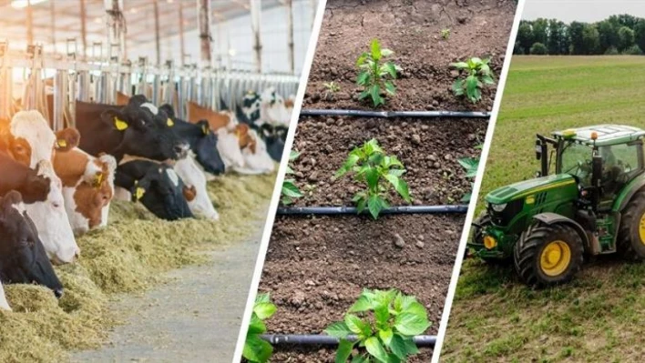 Çiftçilere 477 Milyon Liralık Tarımsal Destek Ödemesi