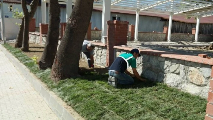 GAZHANE'DE ÇİMLENDİRME ÇALIŞMALARI BAŞLADI