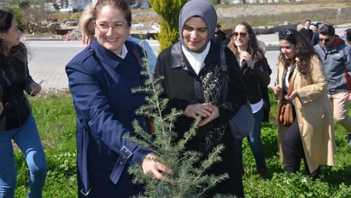 'Daha Yeşil Bir Kampüs' için fidan diktiler