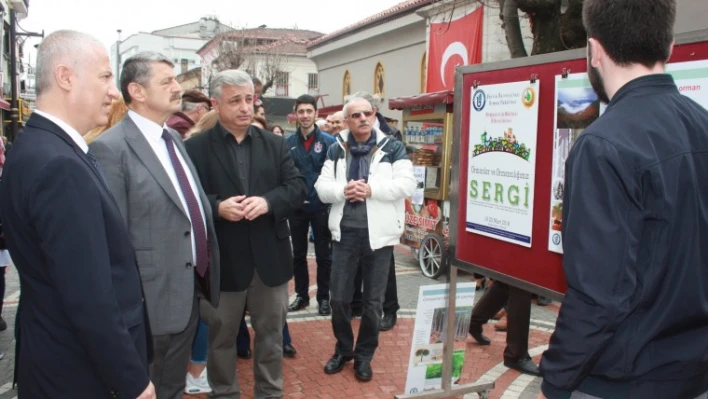 'Orman ve Ormancılığımız' sergisi açıldı