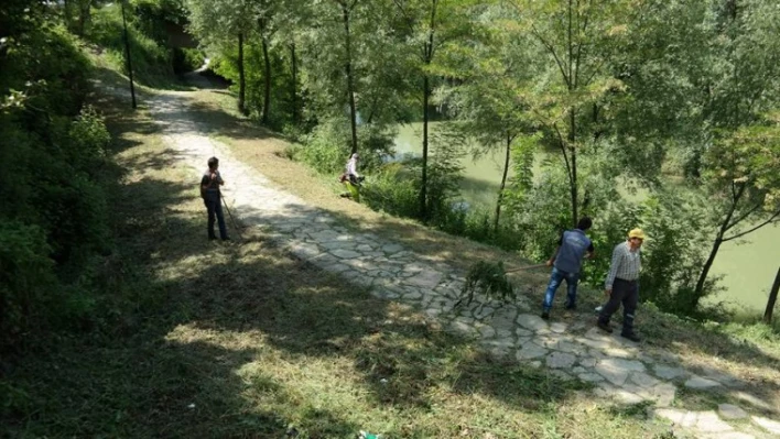 Yabani ot biçme ve temizleme çalışmaları aralıksız şekilde sürüyor