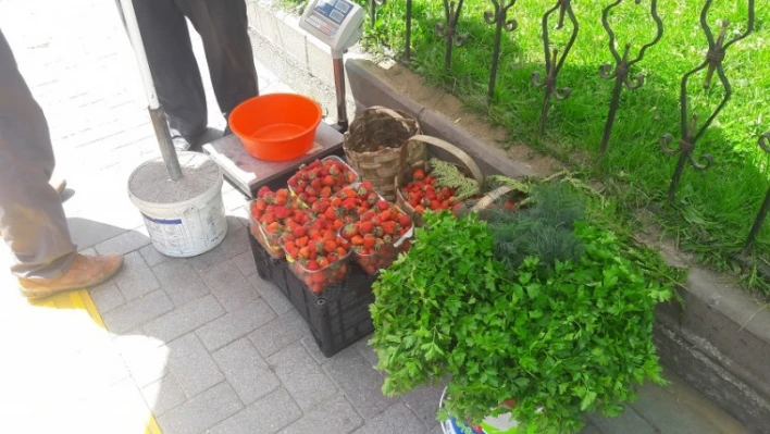 Bartın çileği tezgahlarda yerini aldı