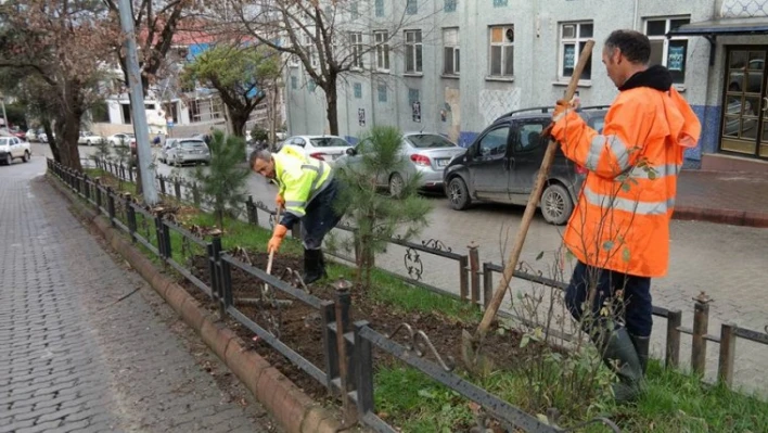 MEVSİM ÇİÇEKLERİ EKİLİYOR