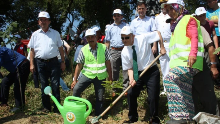 15 TEMMUZ ŞEHİTLERİ ANISINA 249 FİDAN