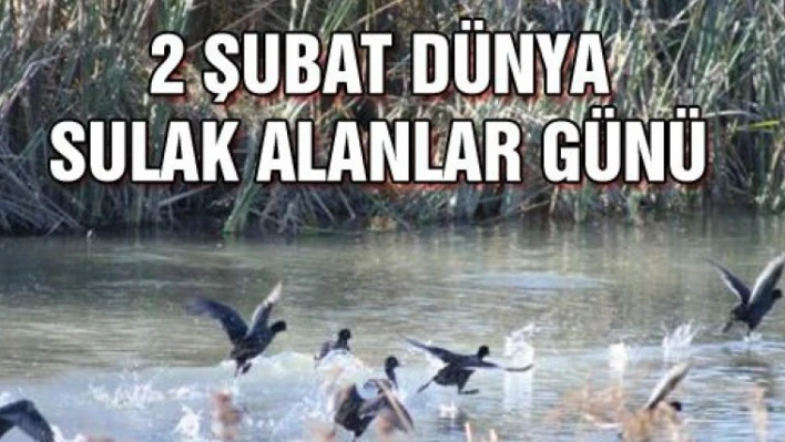 Müdürlükten Dünya Sulak Alanlar Günü açıklaması