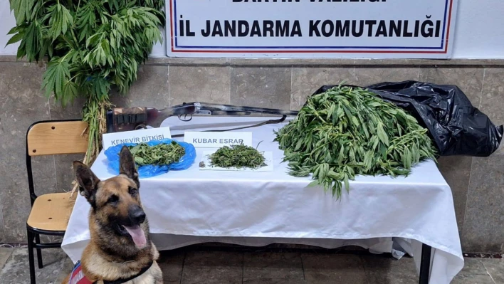 Jandarmadan Uyuşturucu Operasyon