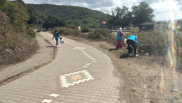 Köy Yollarına Asfalt, Sahillere Temizlik