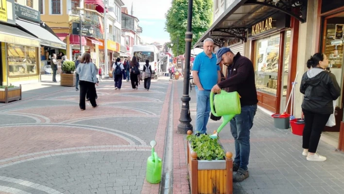 Saksılar mevsimlik çiçeklerle bezendi