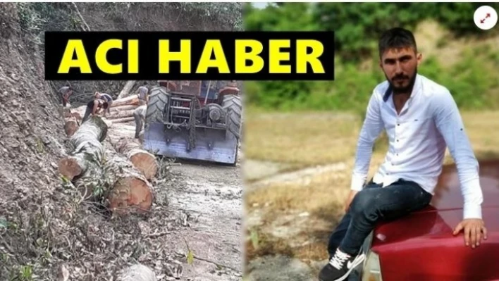 Üzerine ağaç devrilen gençten acı haber